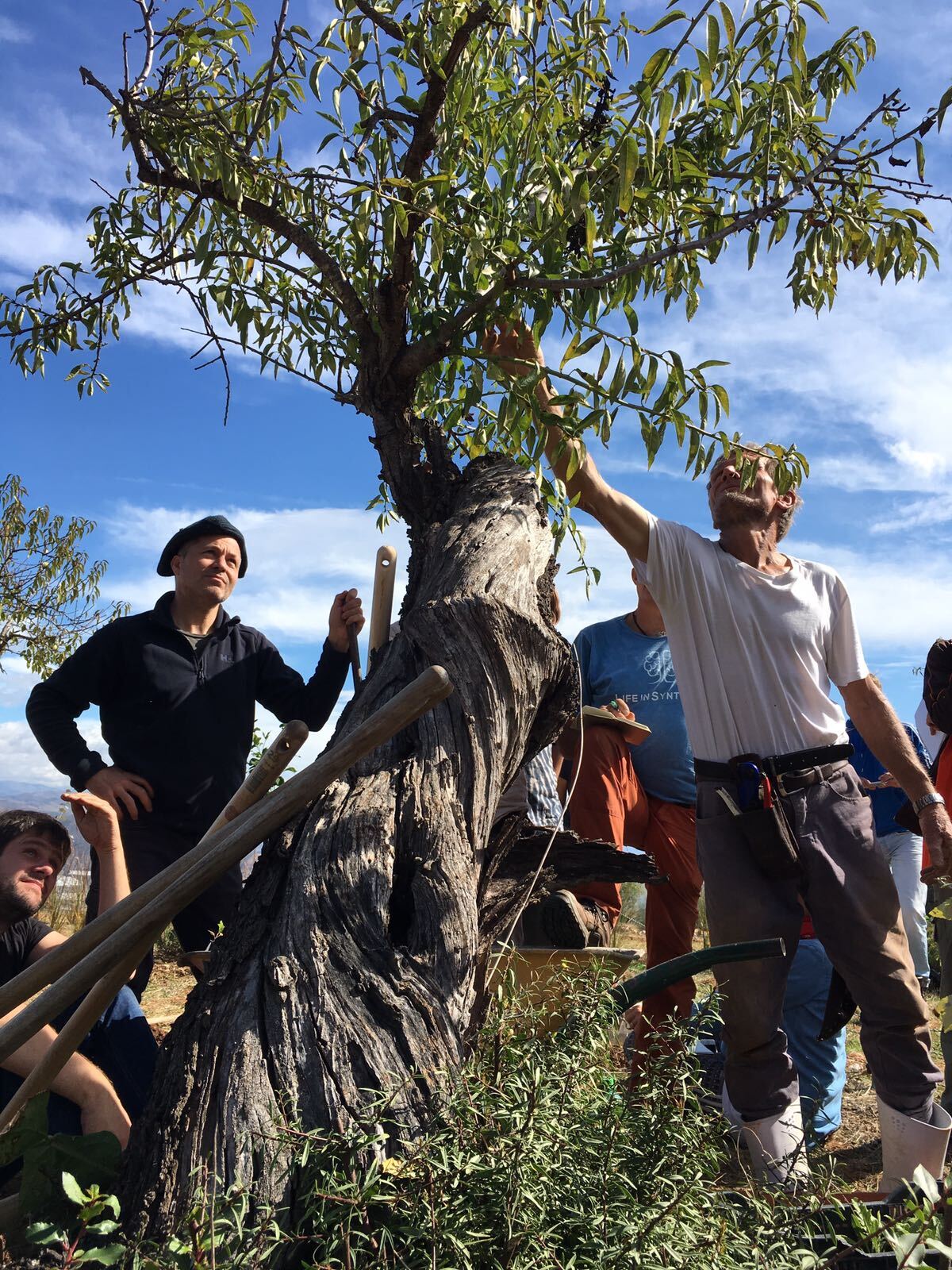 Looking up to my master Ernst Götsch.